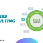 Agile Process Consulting