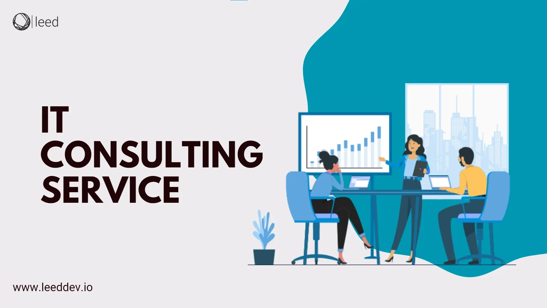 IT Consulting Service