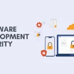 Software Development Security