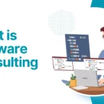 What is Software Consulting