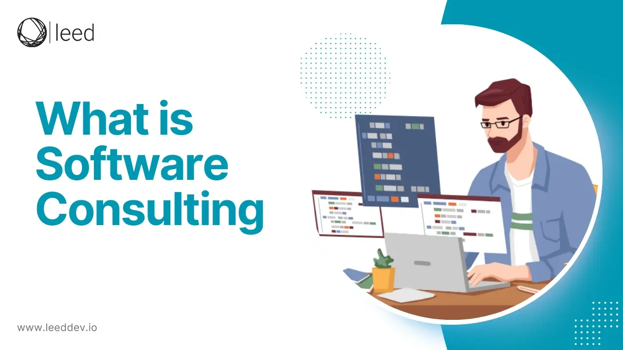 What is Software Consulting